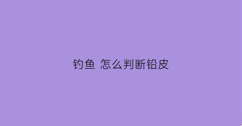 钓鱼怎么判断铅皮(钓鱼怎么判断铅皮好坏)